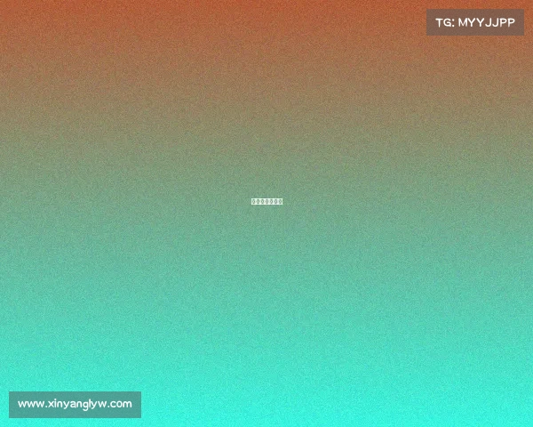 国际龙舟冠军赛