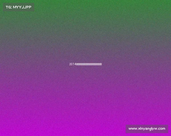 2014欧洲杯激情燃烧岁月荣耀征程绿茵英雄传