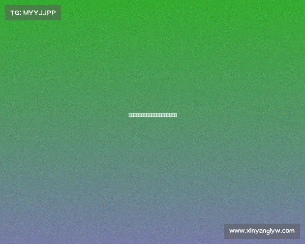 青春足球赛场点燃梦想青少年赛事盛大开启